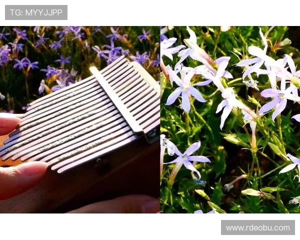 瀹樻柟锛氳拏鑼ㄥ洖褰掓眽璇哄▉鎵ф暀 绛剧害涓ゅ勾鍓戞寚鍗囩骇